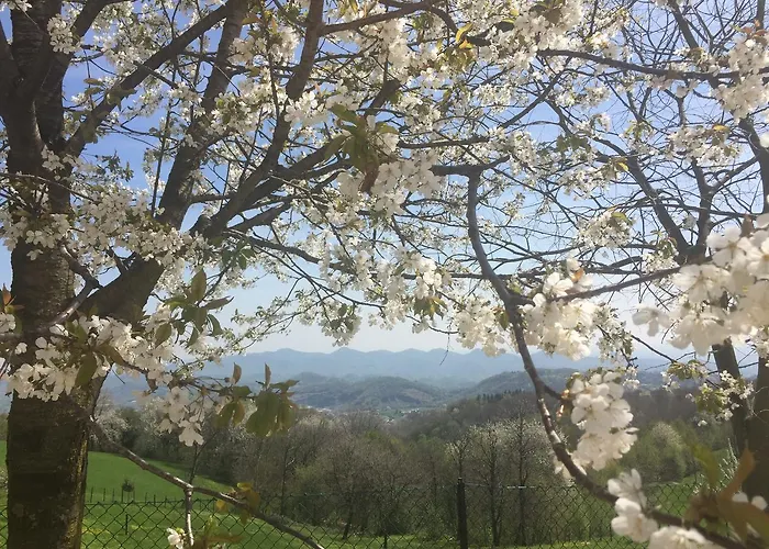 Διαμέρισμα Boccaor